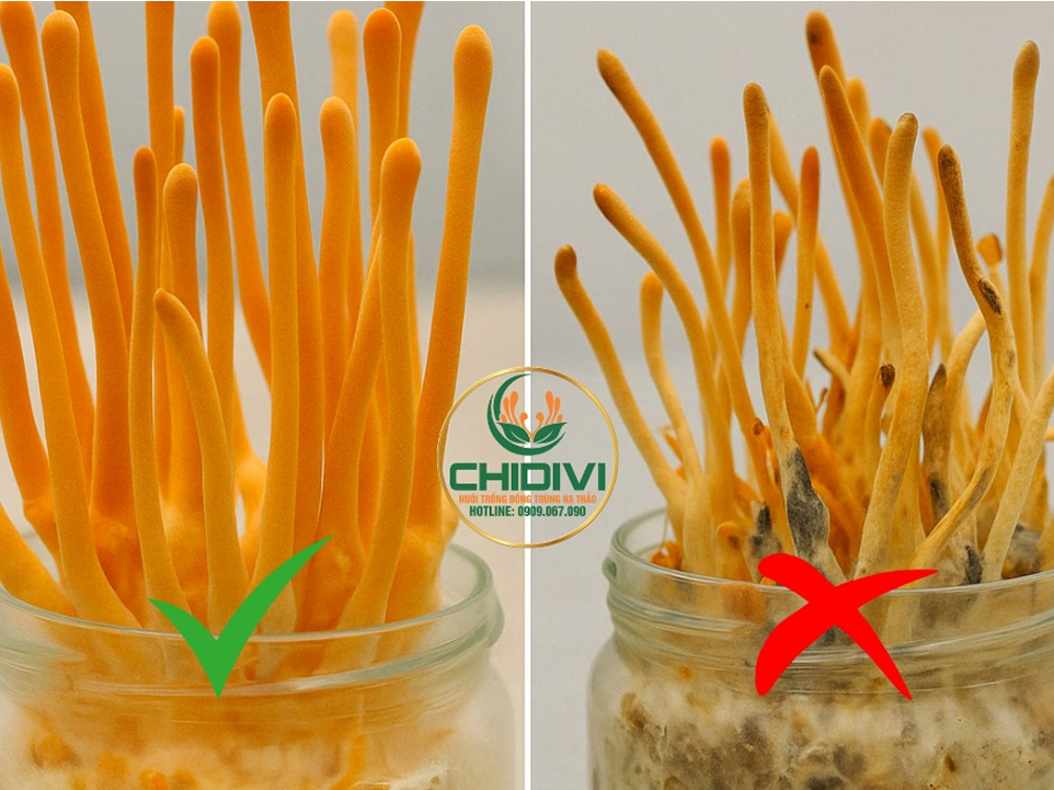 Không còn “làm mò” – tránh lỗi sai tốn kém